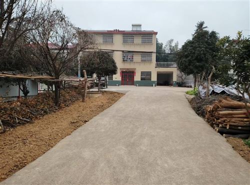 岳陽市云溪區(qū)郭家咀自建房180萬出售!