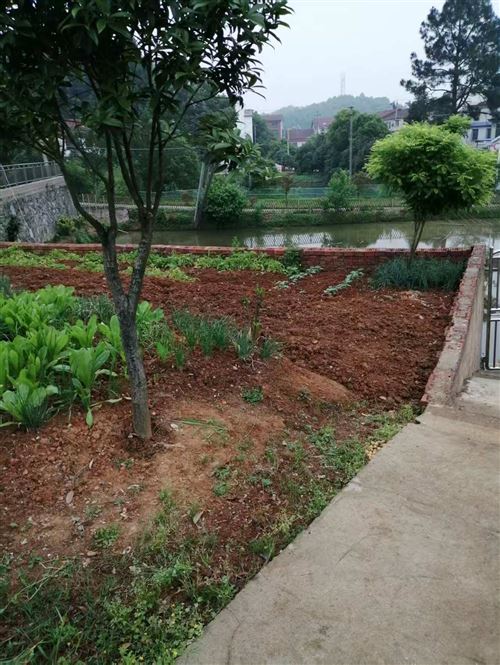 岳陽市云溪區(qū)郭家咀自建房180萬出售!