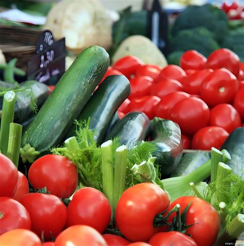 岳陽李記蔬菜配送