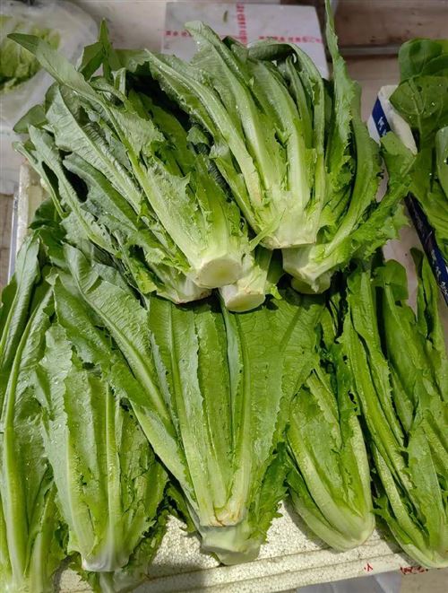 岳陽李記蔬菜配送